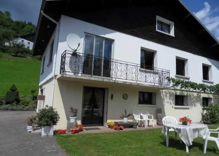 Prázdninový dům Cosy A - Proche Sentiers, Riviere Et Piste Cyclable, Ideal Pour Randonnees Et Sejours En Famille - Fr-1-589-168 La Bresse